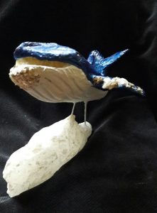 blauwe vinvis Mark